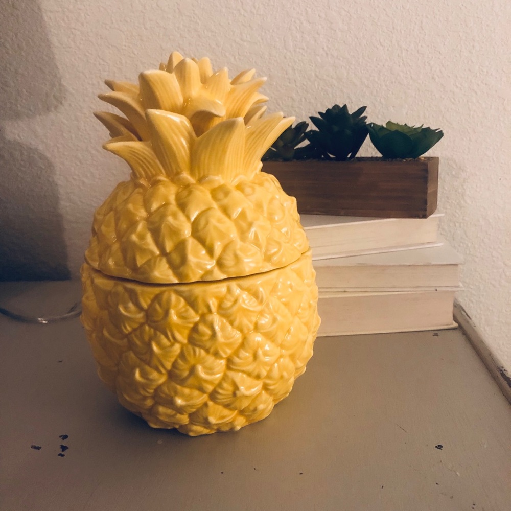 Pineapple canister